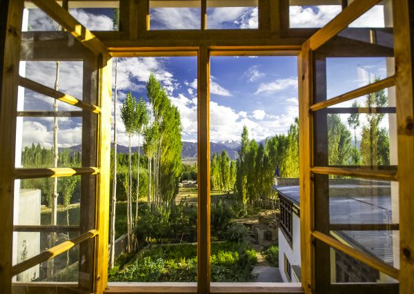 Wood Window Replacement in Estero