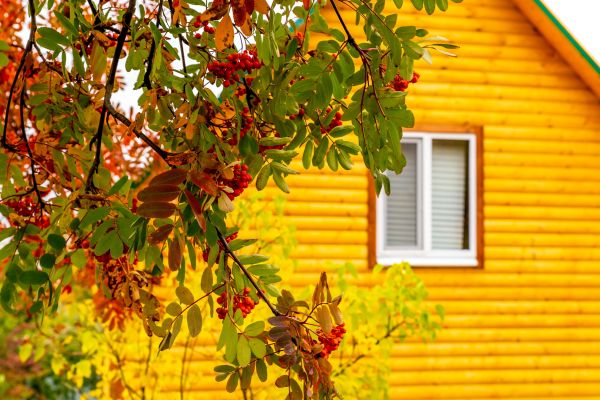 Cost of Garden Window Replacement in Estero